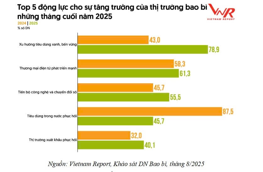 Vietnam Packaging Exports Conquer High-Standard Markets