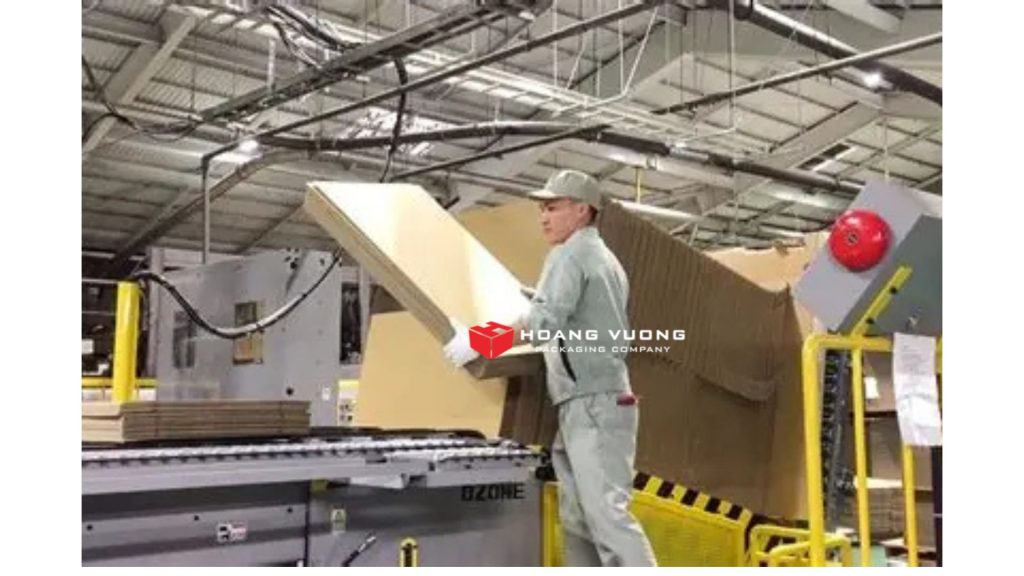 Custom Offset Carton Boxes for Agricultural Products