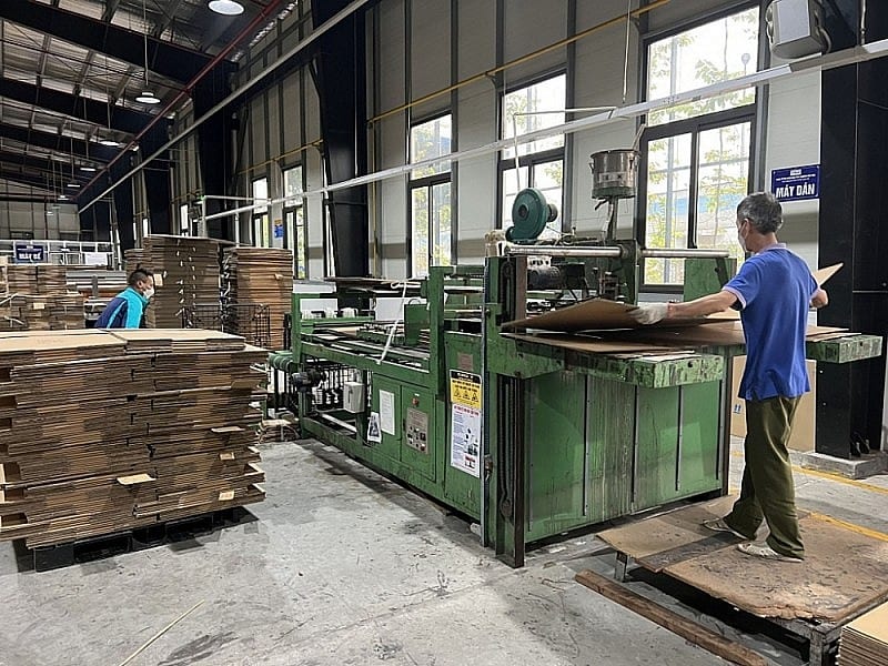 Paper industry enterprises boost export