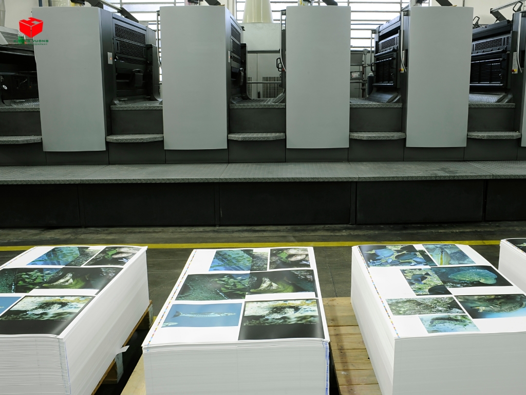 Professional Printing Services in Binh Tan – Fast and Reliable